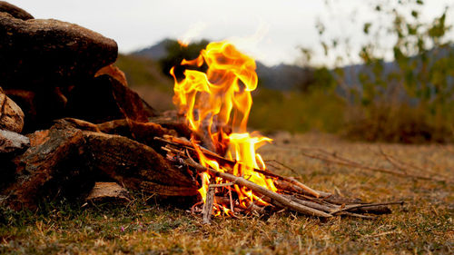 Close-up of bonfire on field