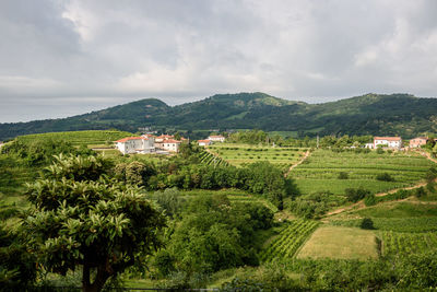 Scenic view of trees and buildings against sky