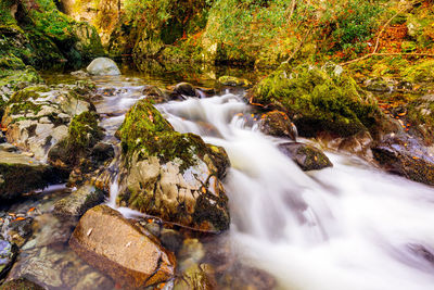 Scenic view of waterfall in forest