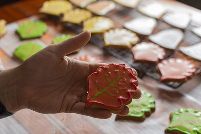 Close-up of hand holding leaf