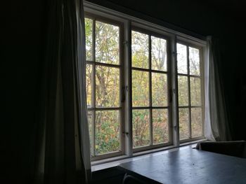 Trees seen through window of house