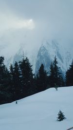 Trees on snow covered landscape against sky