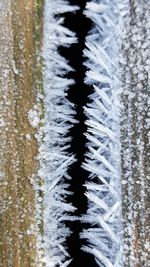 Close-up of frozen water