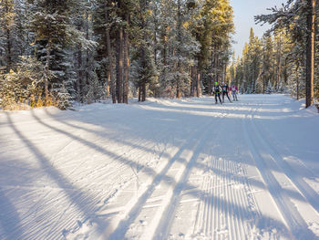 People on snowy field during winter