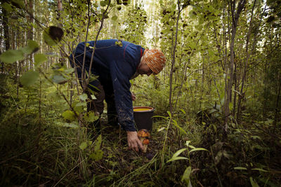 Male farm worker picking mushrooms at organic farm