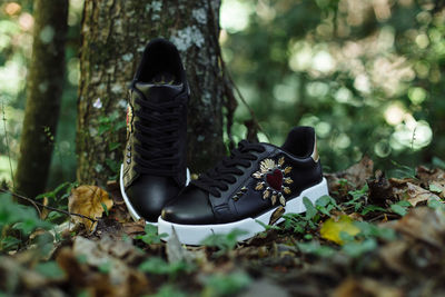 Close-up of shoes on leaves in forest