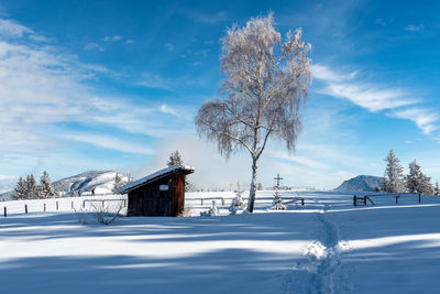 Snow covered trees by building against sky