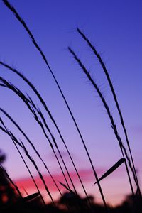 Low angle view of sky during sunset