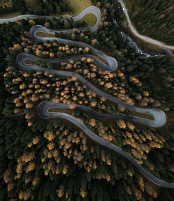 Aerial view of winding road and trees at forest during autumn