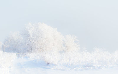 Scenic view of snow covered landscape