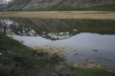 Scenic view of lake