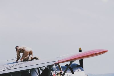 Low angle view of bird perching against clear sky