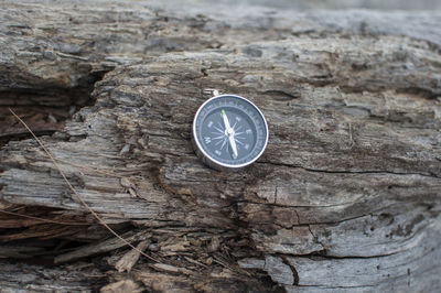 Close-up of clock on tree trunk