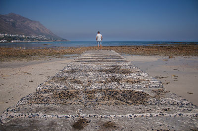 Rear view of man standing at beach against sky