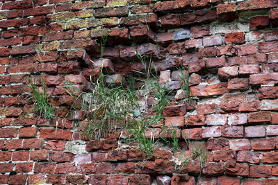 Full frame shot of brick wall