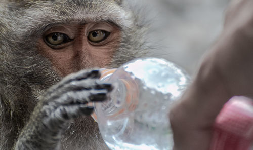 Close-up of human hand holding drinking water