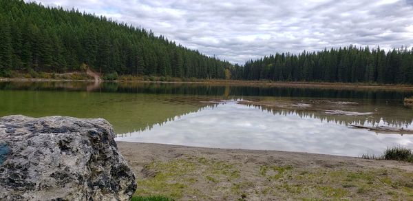 Scenic view of lake by trees against sky