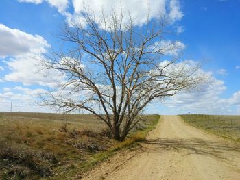 Dirt road passing through field