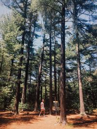 Woman standing by trees in forest