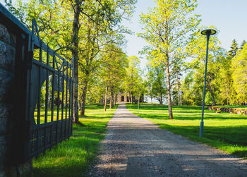 Footpath amidst trees