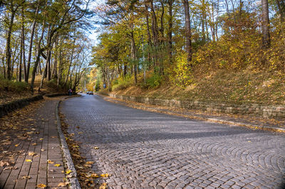 Road amidst trees in forest