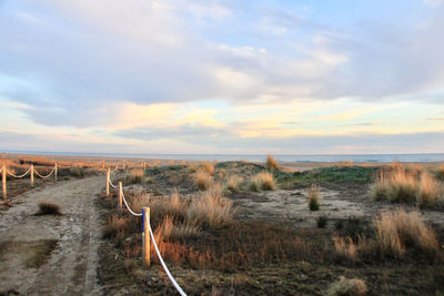 Panoramic view of landscape against sky