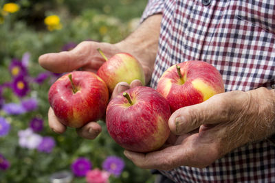 Midsection of man holding apple