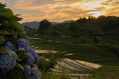 Scenic view of landscape against sky