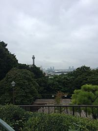 Trees and buildings against sky