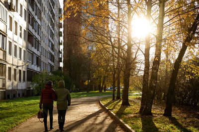 Autumn park in the sun