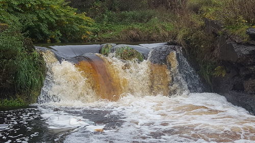 Scenic view of waterfall in forest