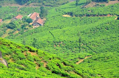 Scenic view of rural landscape