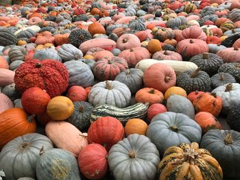 High angle view of pumpkins for sale in market