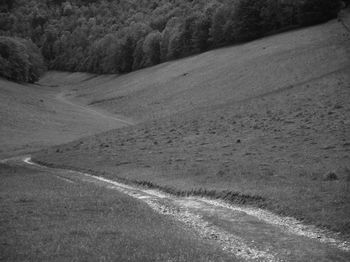 View of road passing through forest