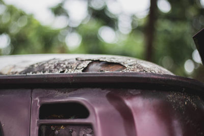 Close-up of rusty car