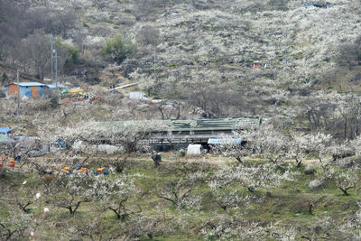 High angle view of crowd on tree