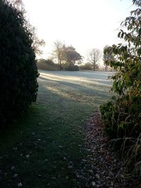 View of landscape against clear sky