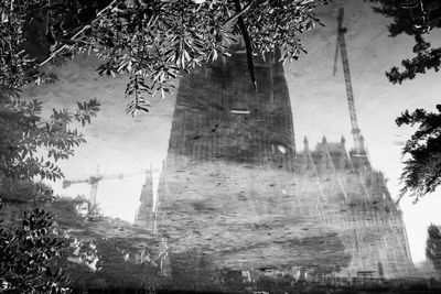 Low angle view of trees and building against sky