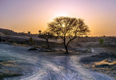 Bare tree on landscape against sky during sunset