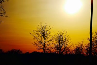 Silhouette of trees at sunset