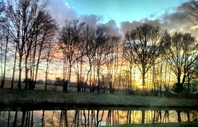 Silhouette bare trees against sky during sunset