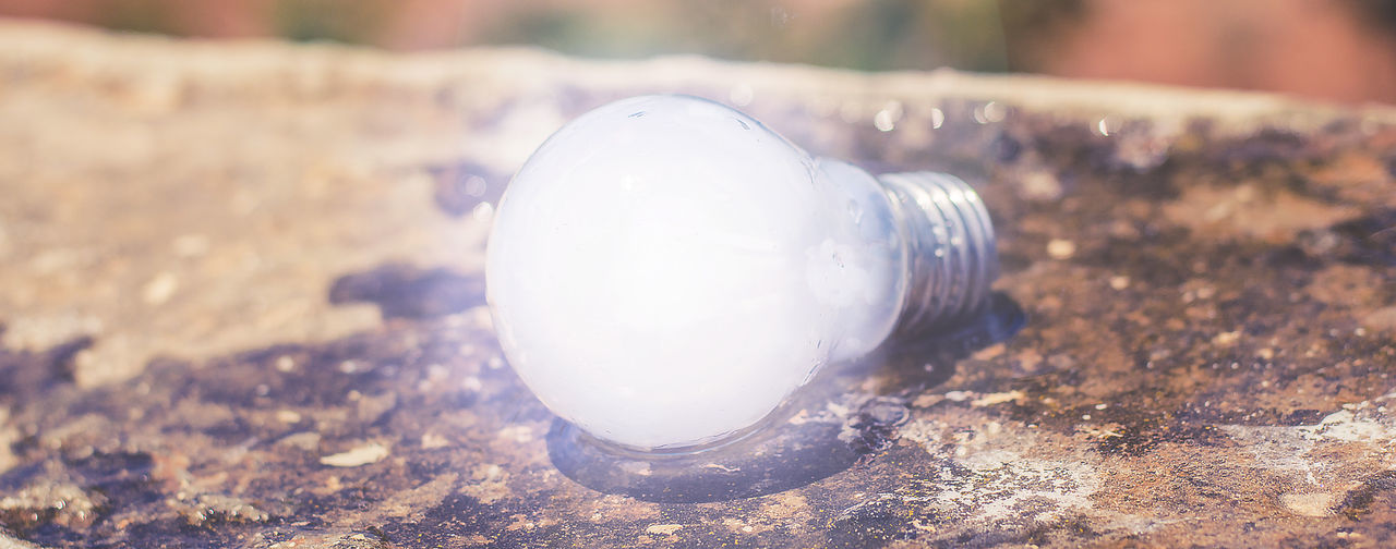 CLOSE-UP OF LIGHT BULB OVER LAND