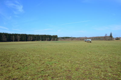 Scenic view of grassy field against sky