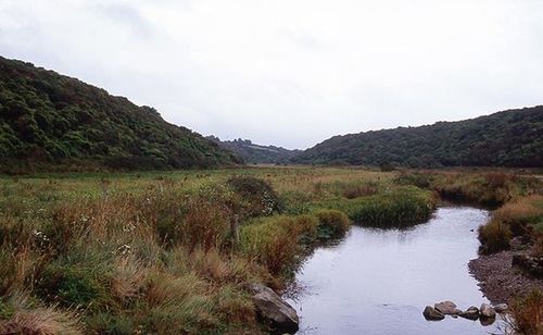 tranquil scene