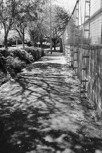 Walkway leading to building