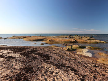 The baltic sea beach in estonia