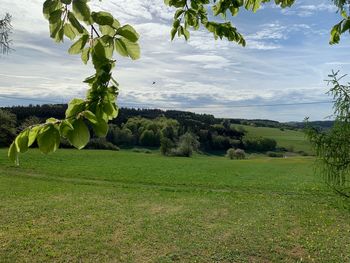 Scenic view of field against sky