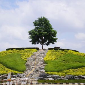 Scenic view of landscape against cloudy sky