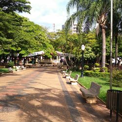 Footpath amidst trees in park