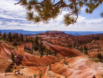 Sand and stone formations in bryce canyon national park, utah, usa